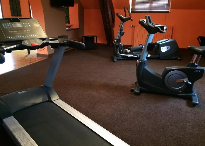 Bed & Breakfast La Maison Du Parc 4*